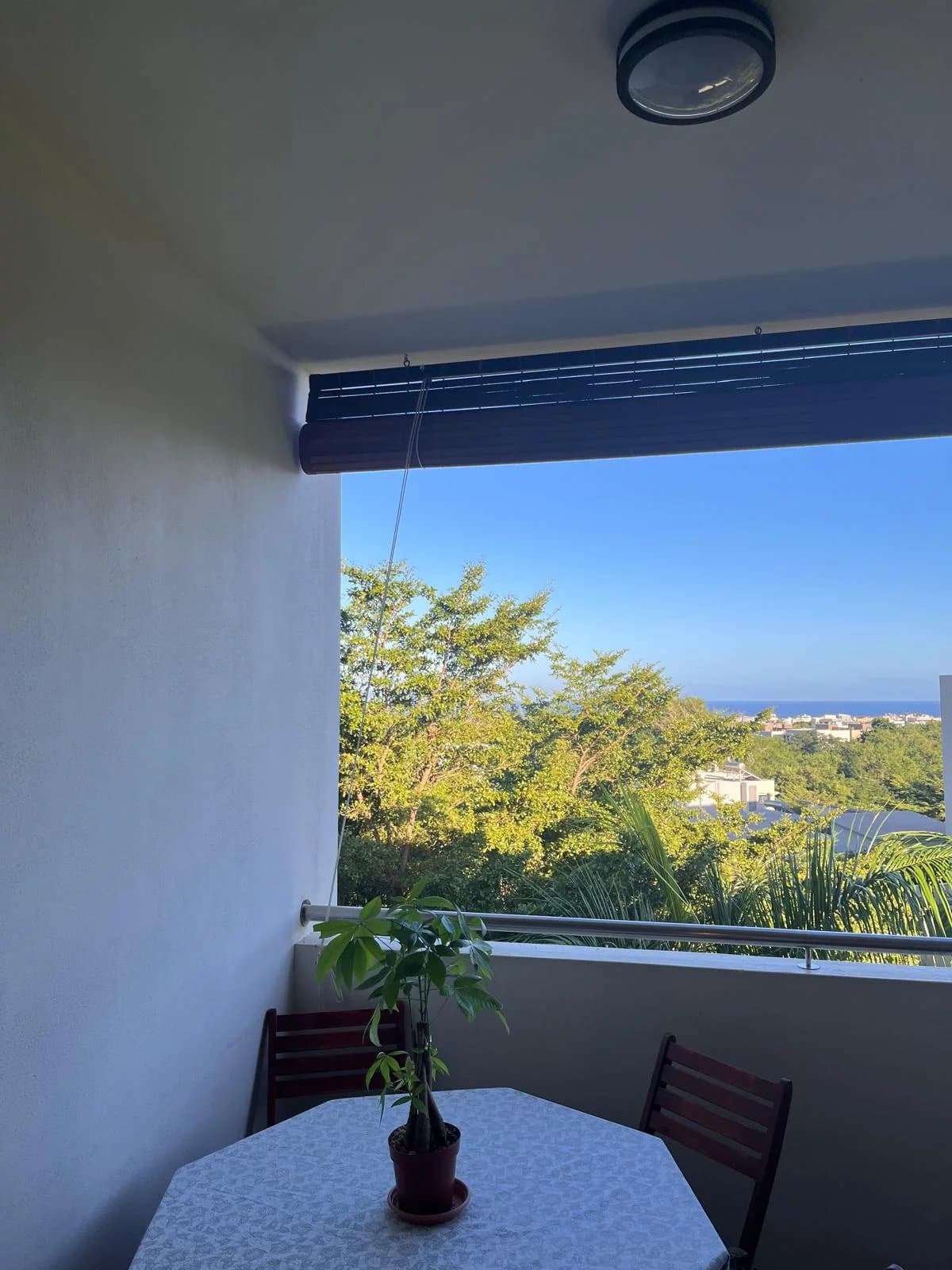 Property image n°3