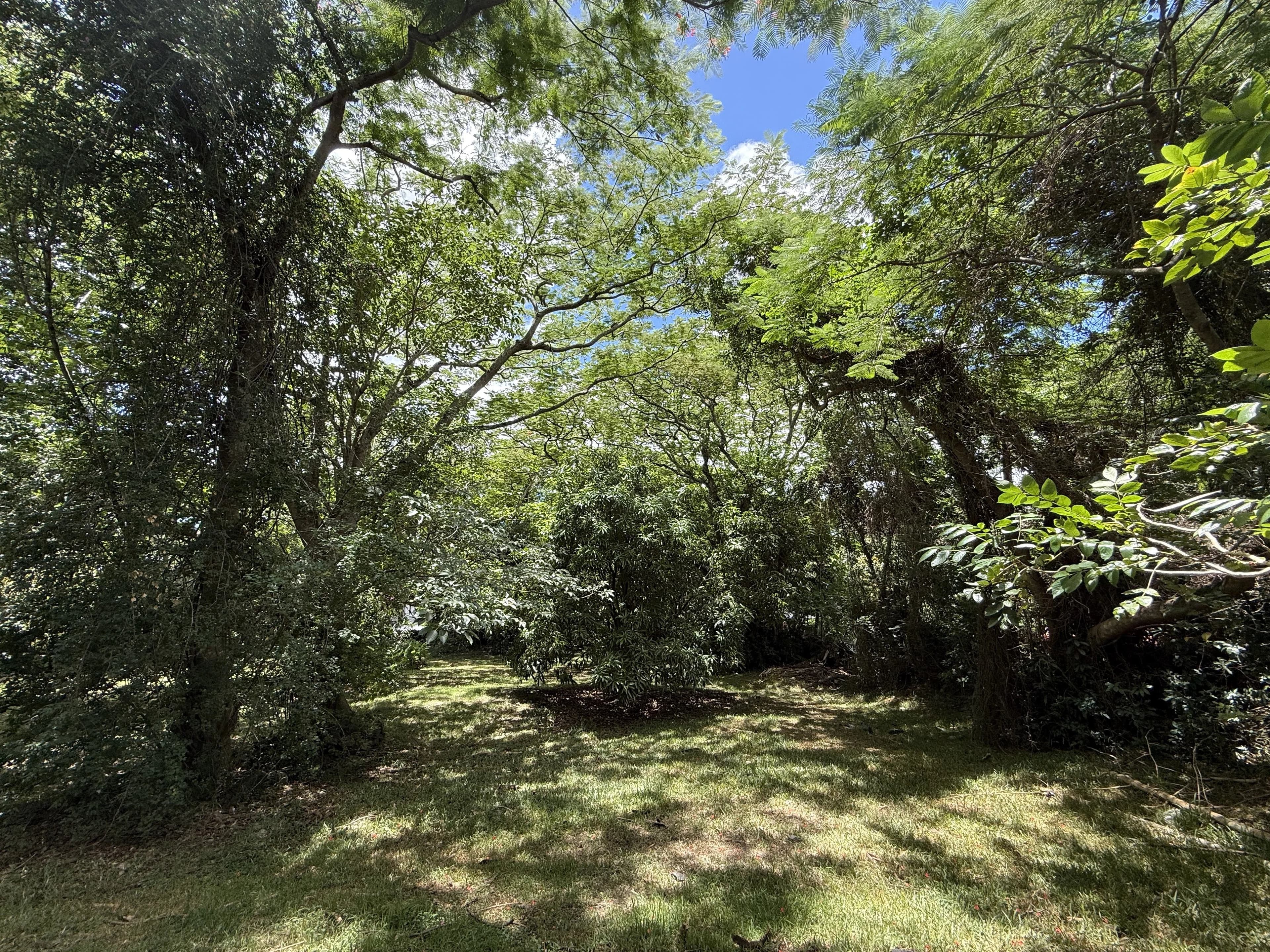 Property image n°0