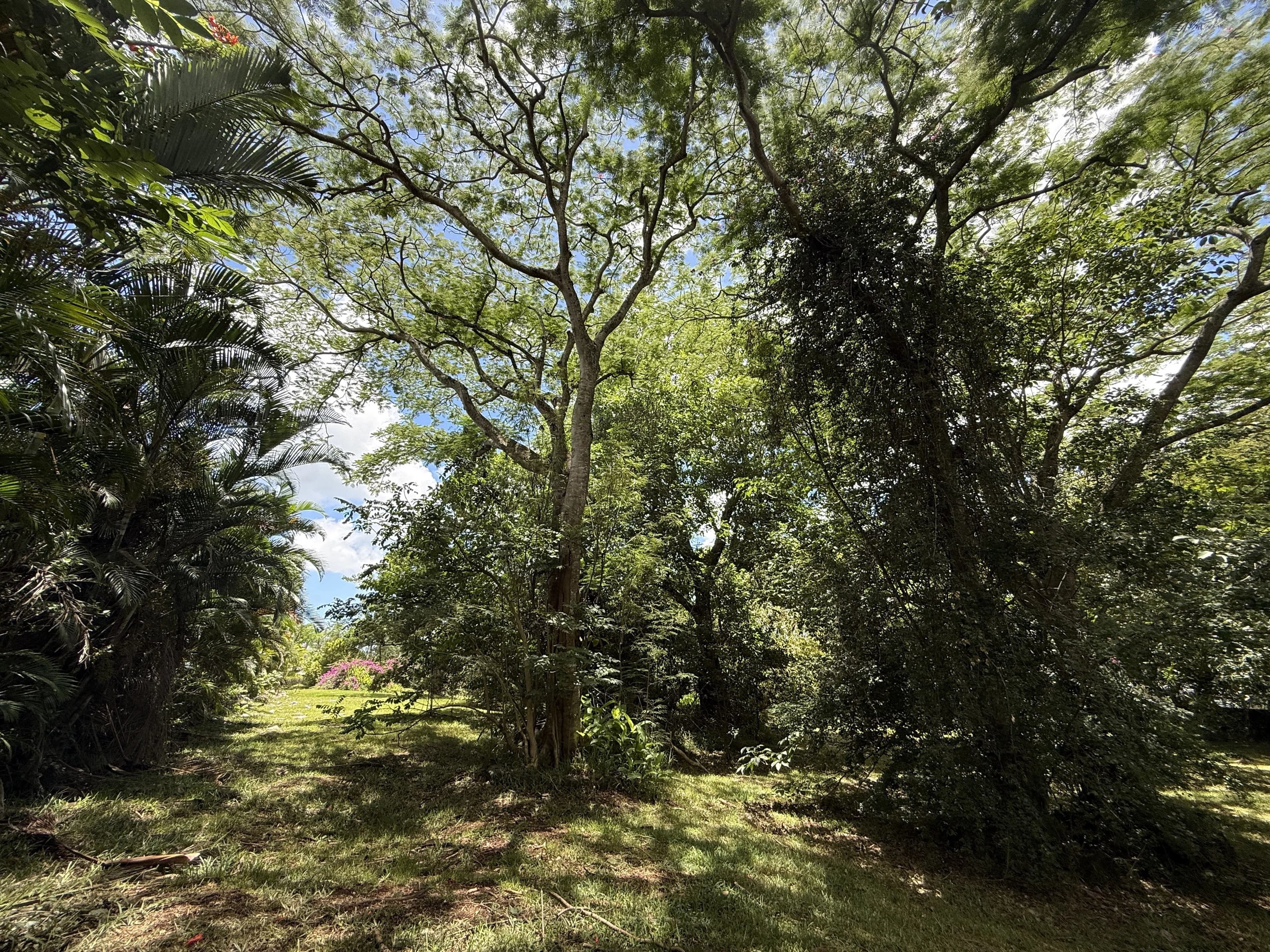 Property image n°1