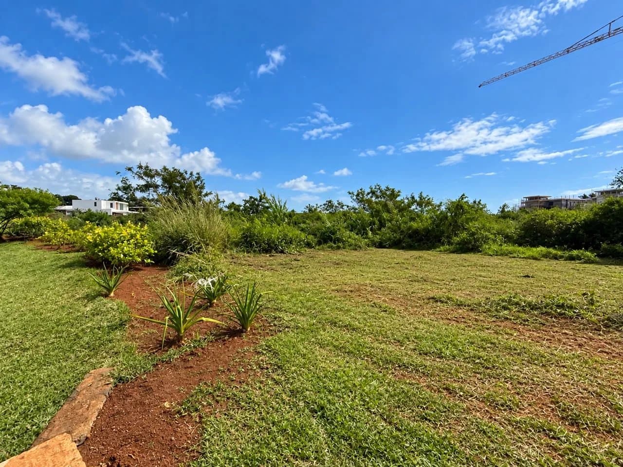 Property image n°1