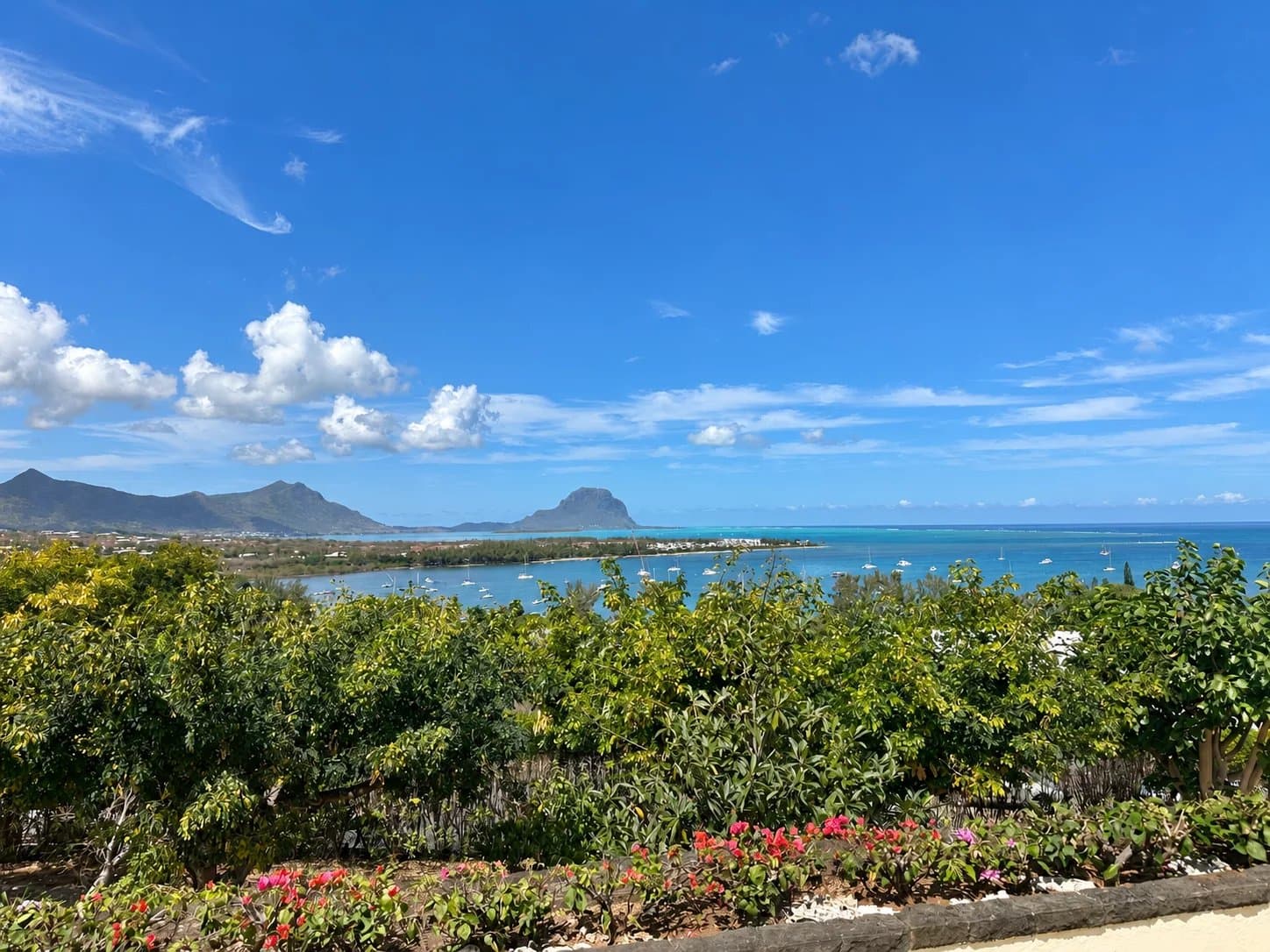 Property image n°1