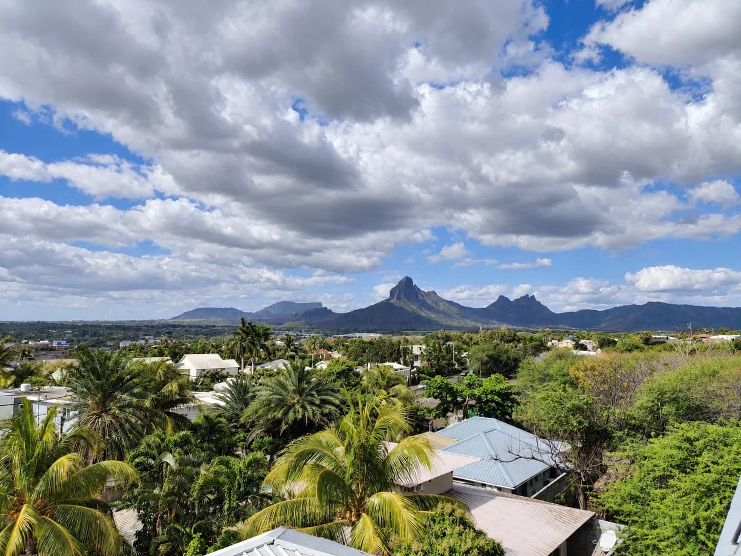 Property image n°22