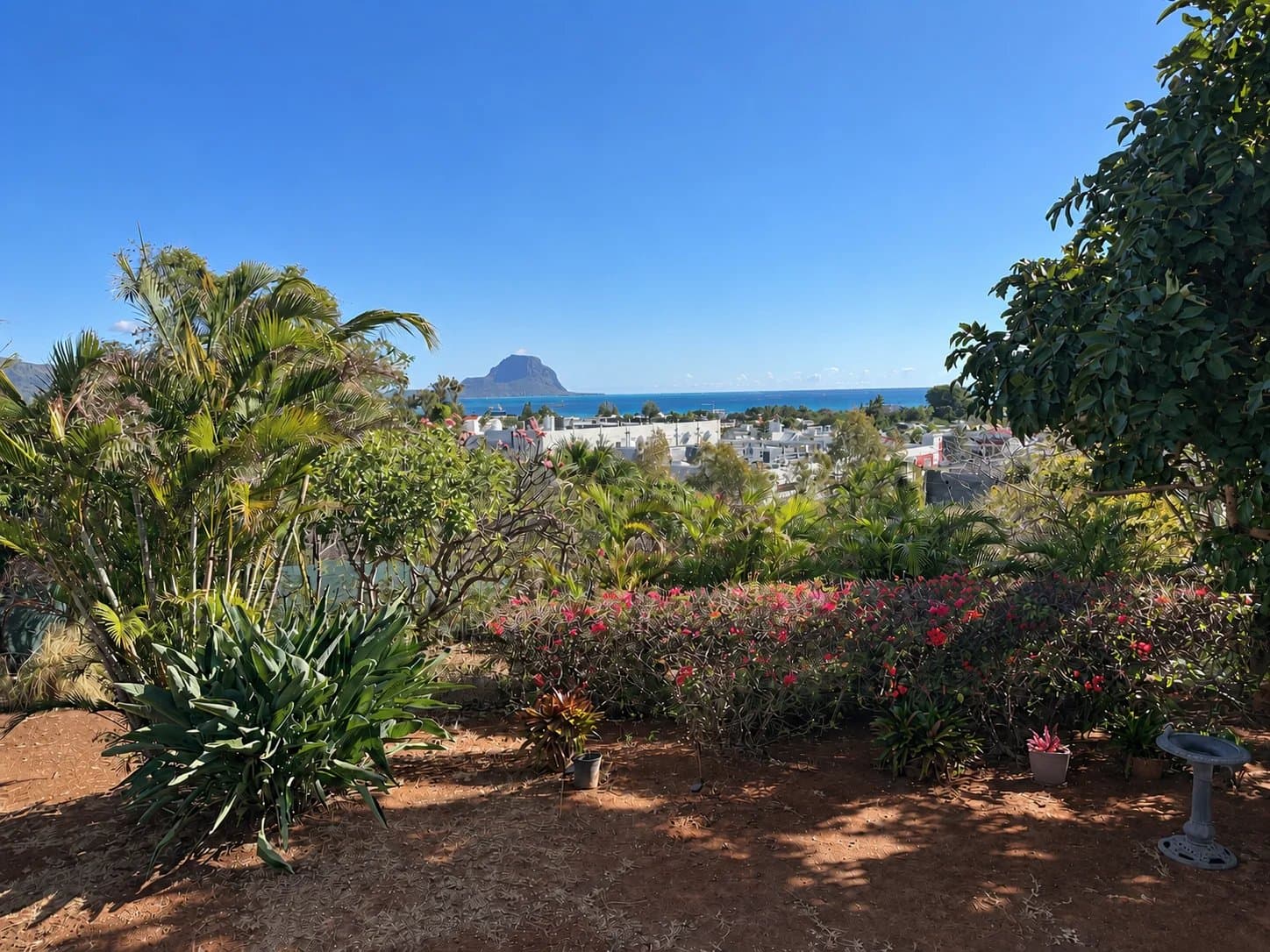 Property image n°0