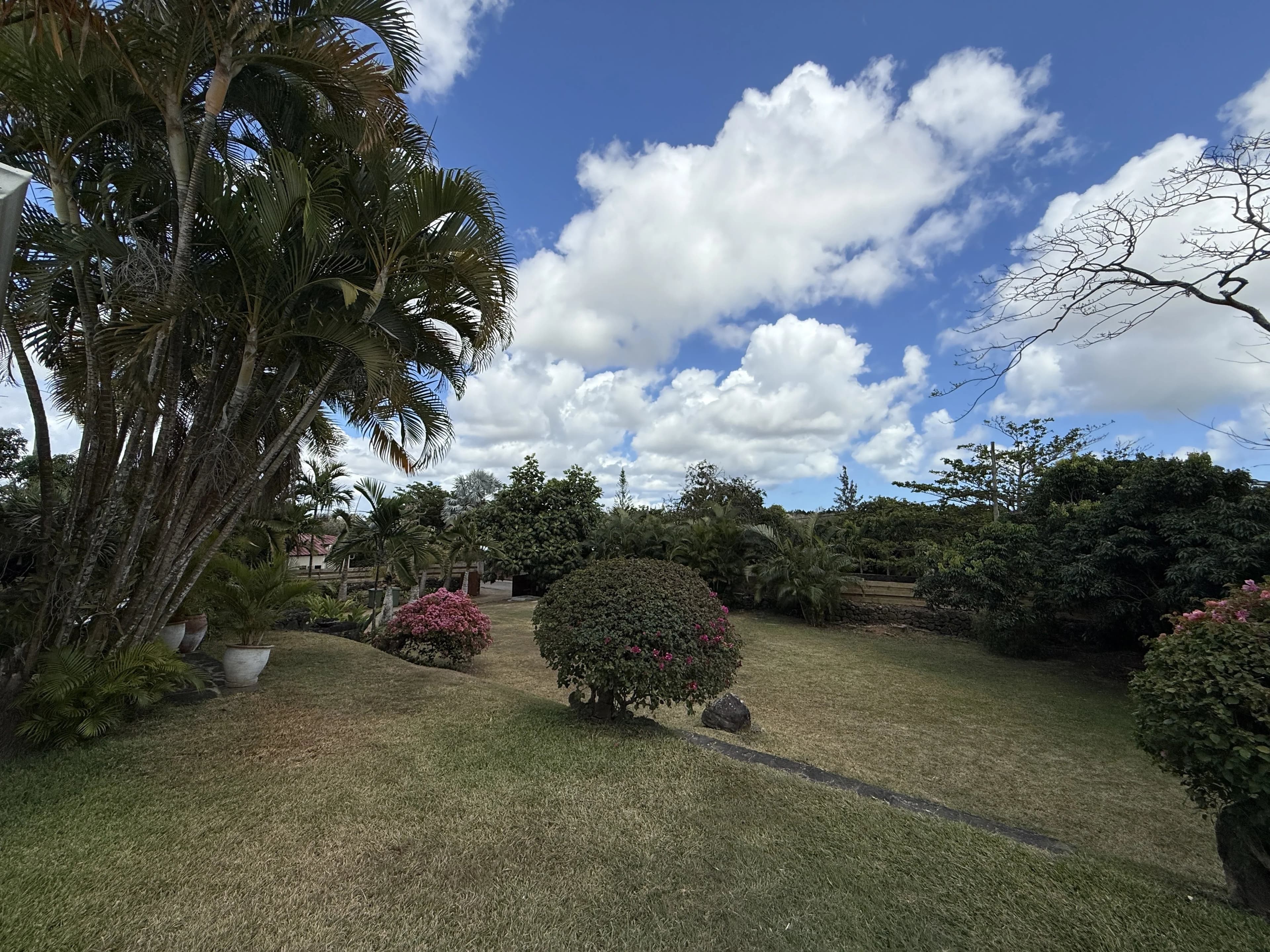 Property image n°12
