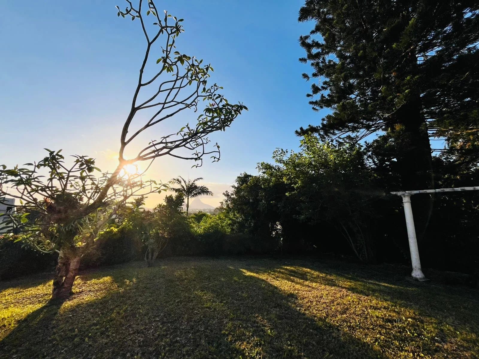 Property image n°12