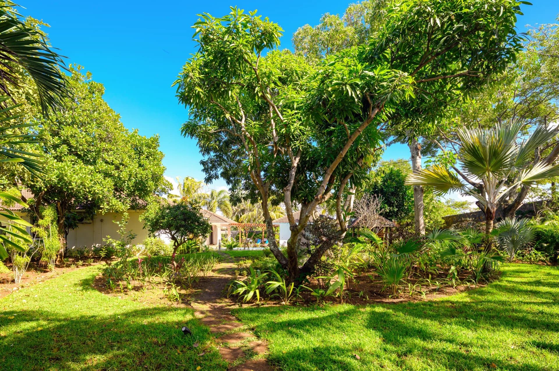 Property image n°14