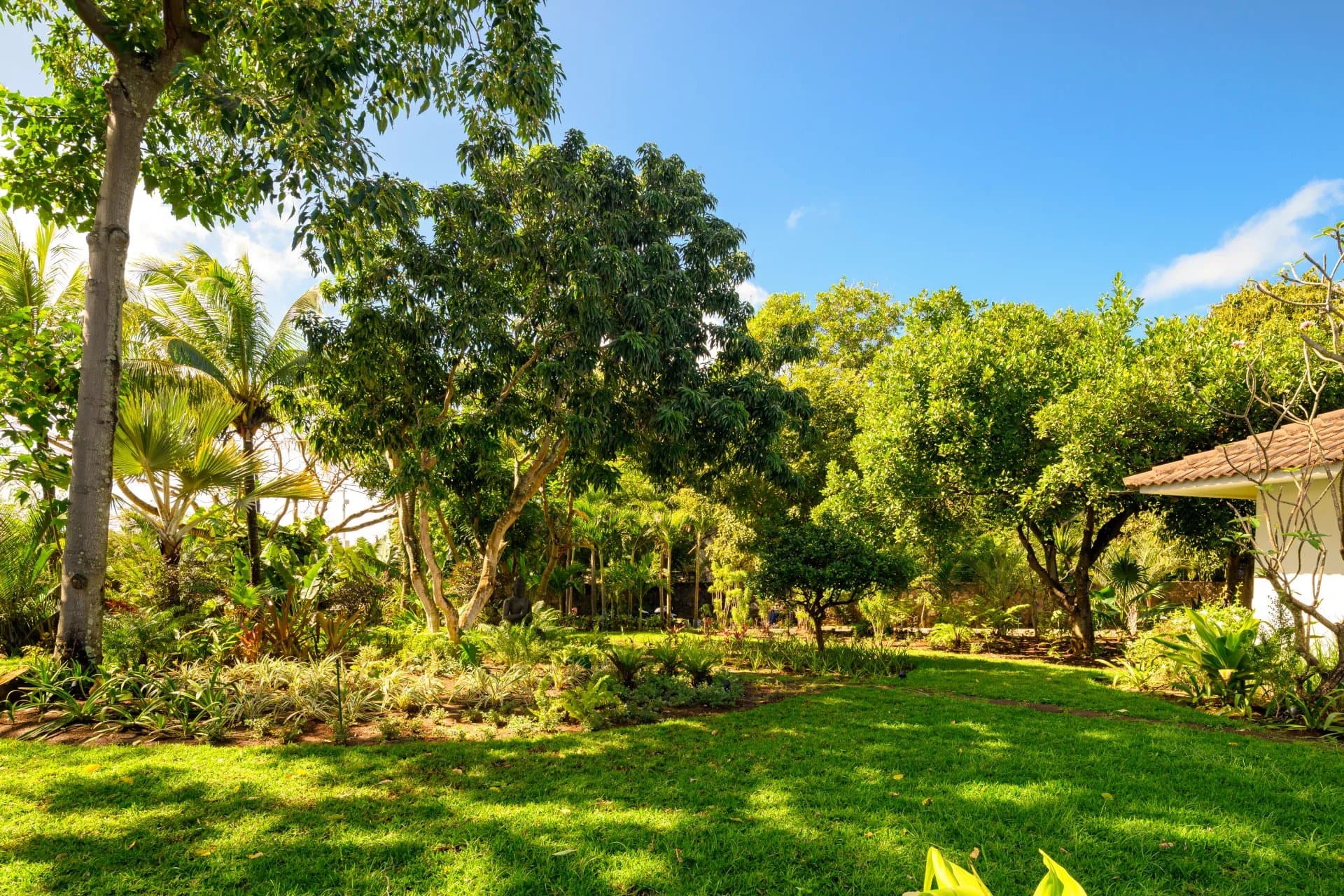 Property image n°16