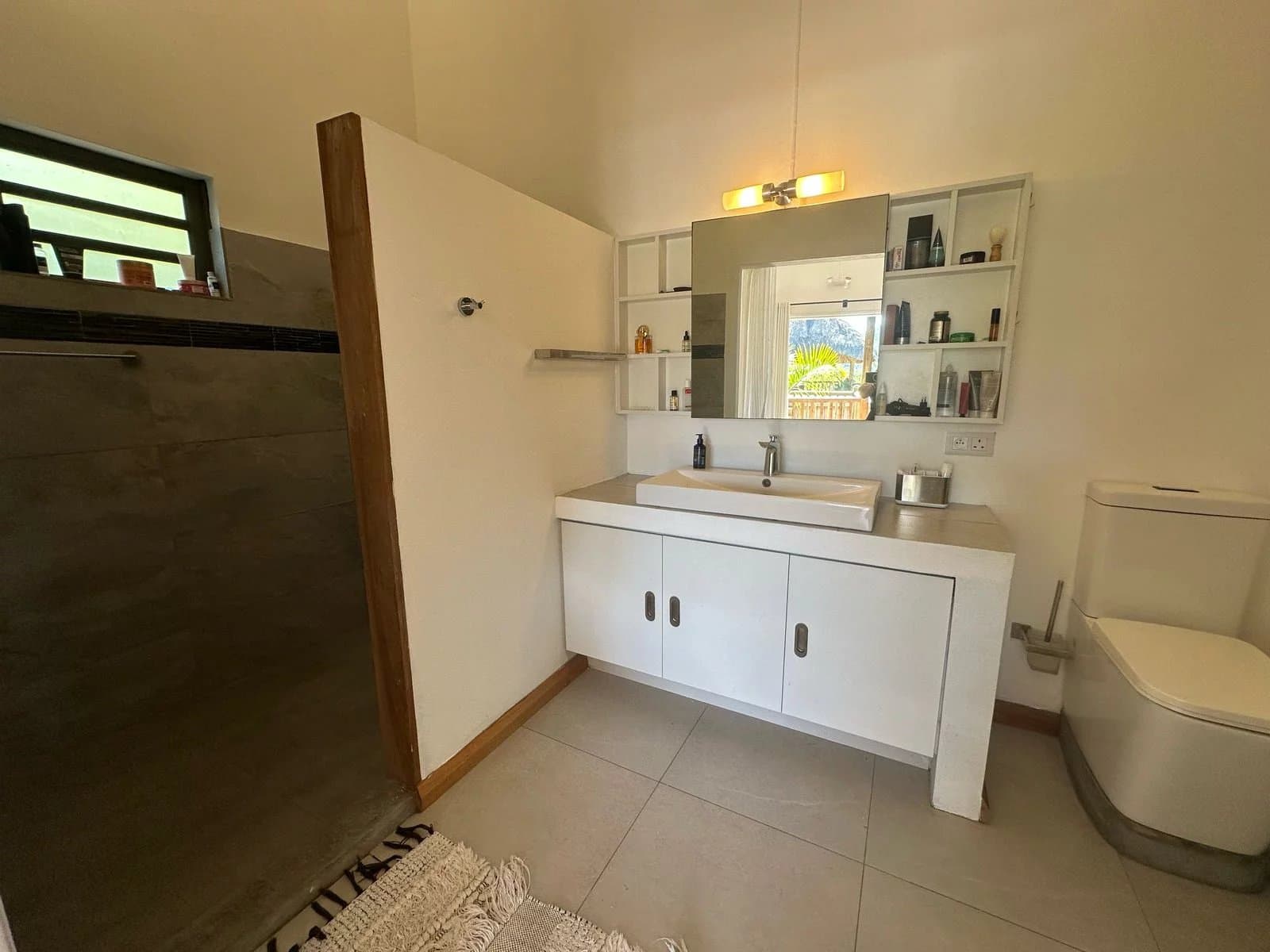 Property image n°11