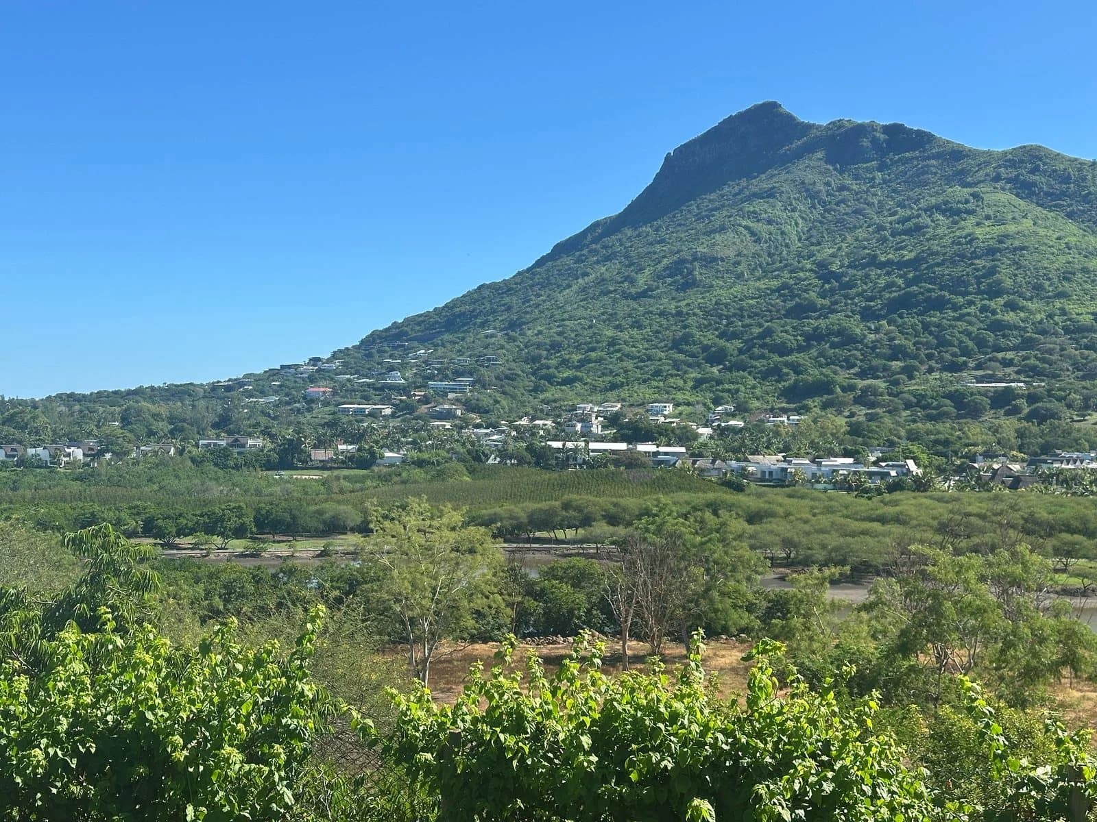 Property image n°30