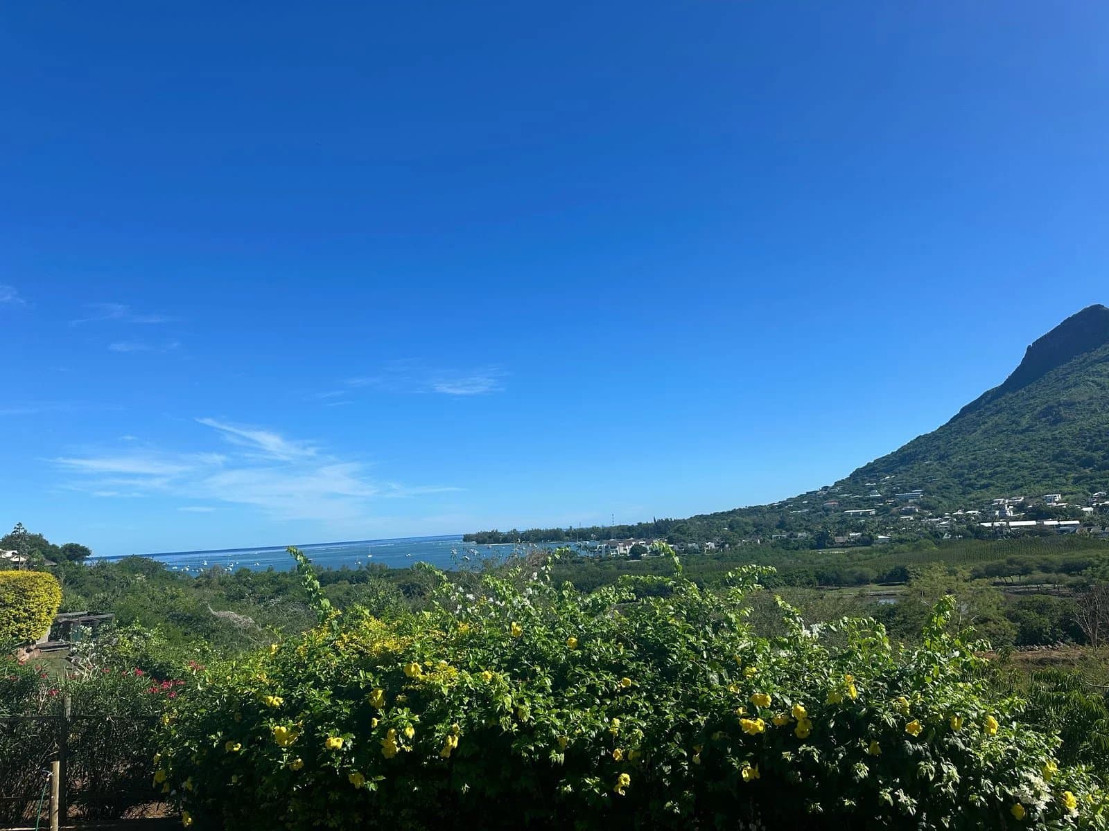 Property image n°32