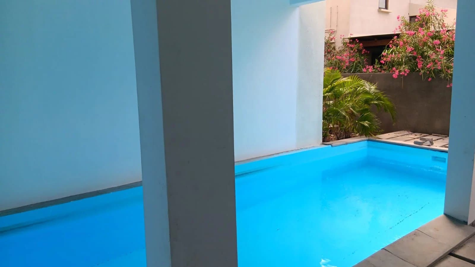 Property image n°9