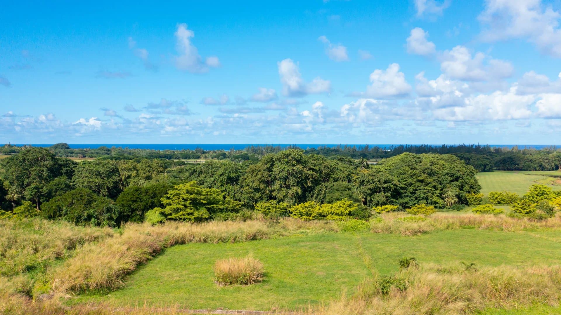 Property image n°6