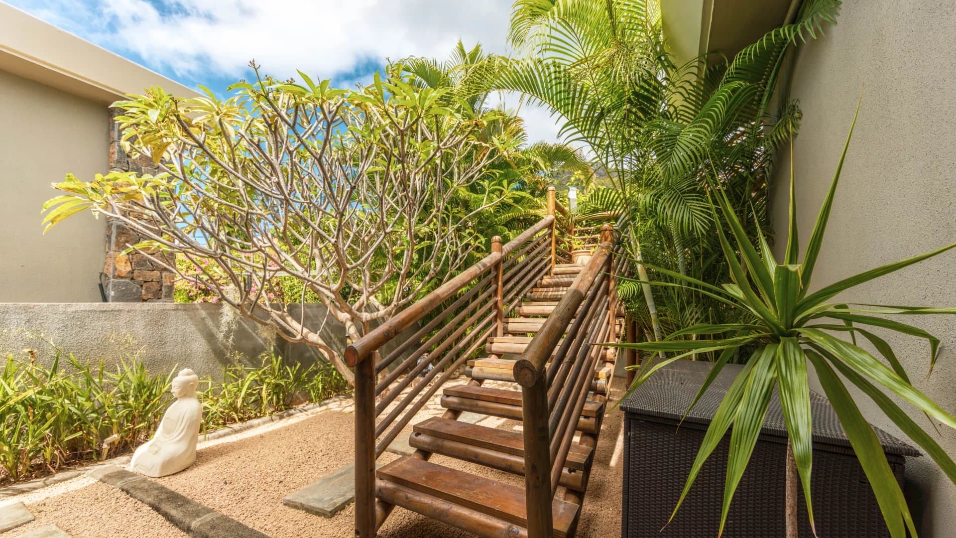 Property image n°58